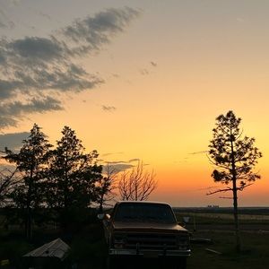 Meet your Posher, Laurel